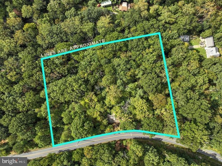 Aerial view of the wooded parcel at 90 Hilldale Road in Holtwood