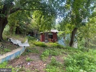 Wooded driveway and structures at 90 Hilldale Road