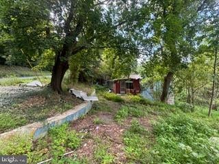 Wooded access area at 90 Hilldale Road